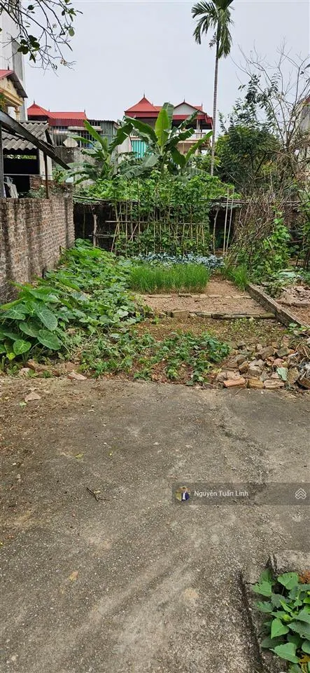 Bán 56m2 đất thôn đoài, nam hồng, gần chợ, dân cư đông đúc