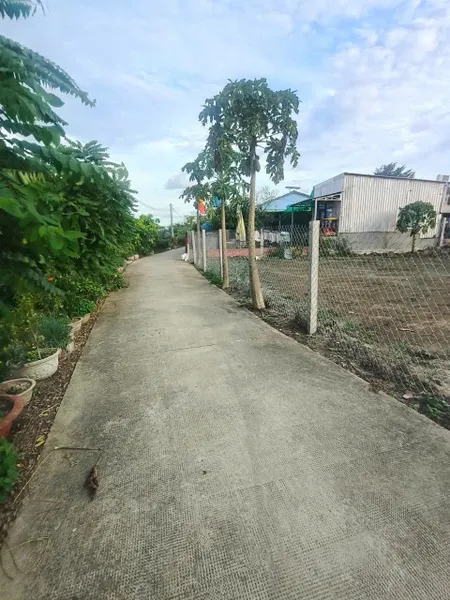 1899m2 đất thổ (918m2) + lúa , đường đan xã Thuận Thành, Cần Giuộc, Long An giá 7,5 tỷ