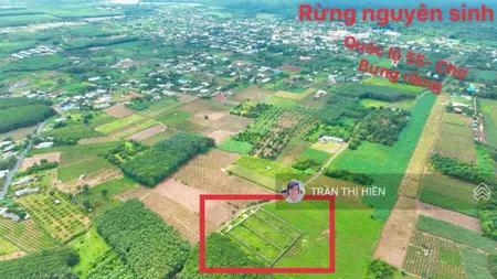 Bán đất bưng riềng hồ tràm 1500m2 21x70m đã xây rào kiên cố quy hoạch đất ở