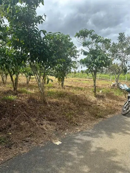 Đất ngộp, giá đầu tư sẵn thổ cư tân lạc bảo lâm