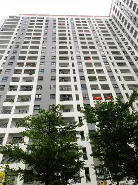 Bán gấp căn hộ chung cư 52m2, 1,62 tỷ tại iris tower, bình hòa, thuận an, bình dương