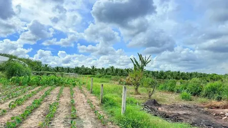 Bán đất 2186.5m² ngang 11m giá 2.8 tỷ Xã Phước Hải