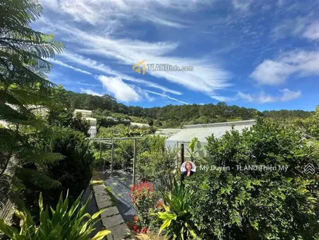 Bán đất tặng homestay đà lạt mặt tiền triệu việt vương, view thông giáp suối phường 3, 1135m2 35 tỷ