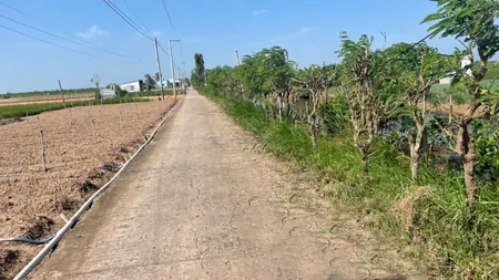 1000m2 đất nền, bêtông ôtô, gần Chợ Tân Điền, xã Tân Điền, tỉnh Đồng Tháp giá 750tr