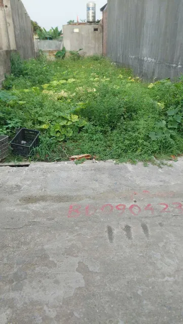 Bán đất 100m² ngang 5m đường thôn 5m giá 2.1 tỷ Phường An Dương(Bắc Sơn). liên hệ 0362558882