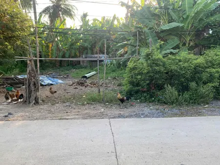 Bán nền thổ và vườn 12,9x24 Ngay Tam giác tập trung dân cư , mọi tiện ích Tại Xã Tân Trụ Tỉnh Tây Ninh