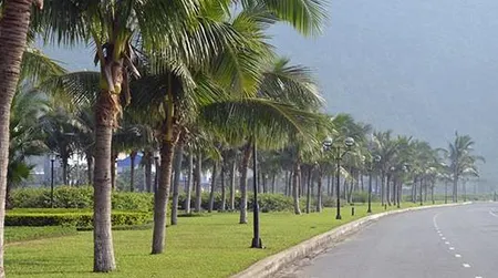 Lô góc 2 mặt tiền! bán đất 1145m2 341,3 tỷ mt hoàng sa q. sơn trà