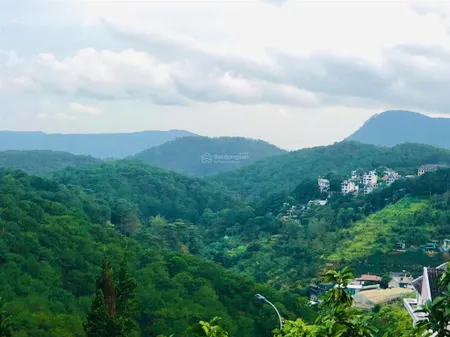 Đất cách mặt tiền khe sanh 100m, 336m2 nở hậu view thung lũng rừng thông