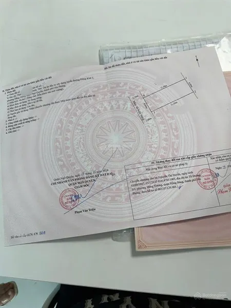 Hàng siêu hiếm bán 2 lô dãy 46m2 tđc cây đa