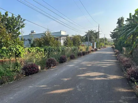 Gia đình cần tiền bán 4266 mét vuông đất xã kim long, thành phố hồ chí minh