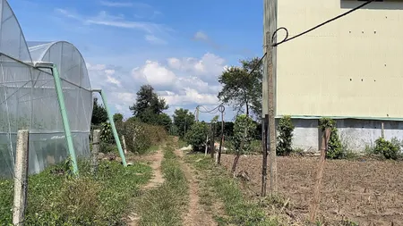 Bán 1015,9m2 đất vườn tại Chư Pah Gia Lai