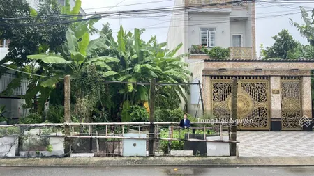 Nền hoàng văn thụ khu vực kinh doanh sôi động, đông khách du lịch, lộ 17.5m, 5x30 full thổ shr