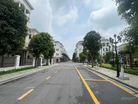 Chính chủ bán lk 64 m2, hướng đn, trục cọ xanh 3, vinhomes ocean park 2, the empire