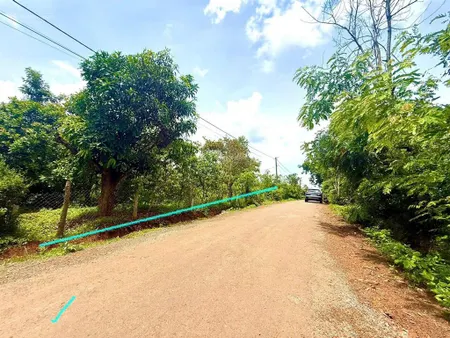 Đất nền mặt tiền nhựa oto né nhau gần hồ tự nhiên và các tiện ích, sẵn sổ hồng chỉ 299tr