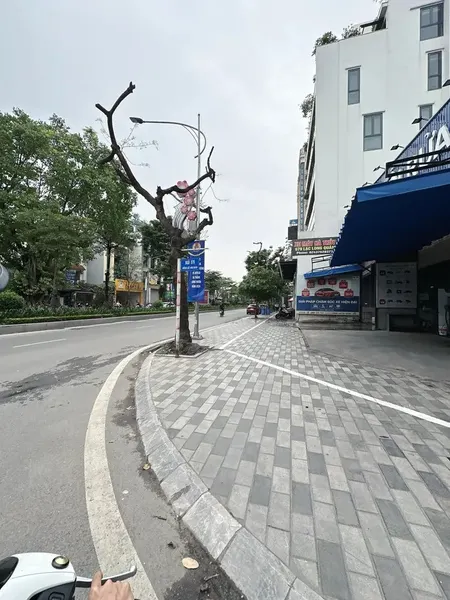 🌳 BÁN BIỆT THỰ VƯỜN ĐÀO – TÂY HỒ – 203M² – VIEW VƯỜN HOA – 119 TỶ 🌳