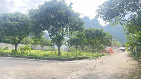 Em còn duy nhất 1 lô góc s= 181m2 ( có 110m2 ont ) .mặt tiền bằng hậu 10m giá nhỉnh 800tr