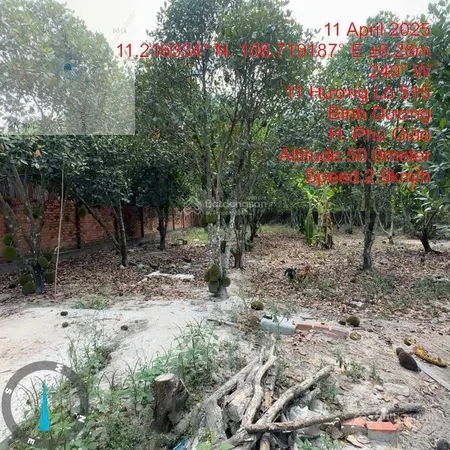 Bán đất có nhà mặt tiền dh515, phước hoà, phú giáo, tp. hcm