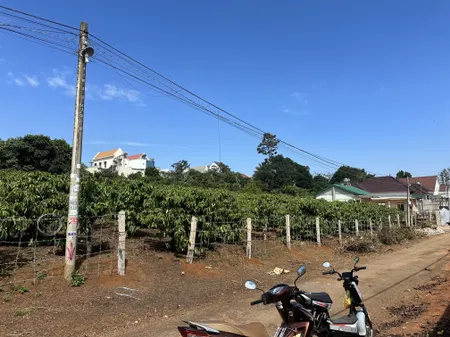 Đất chính chủ (100TC/180m2)