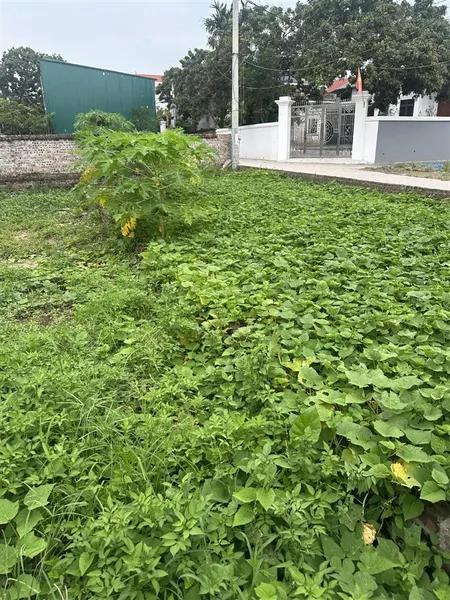 Oto ngủ trong đất, 100m ra đường nhựa liên xã, trường c1, trạm y tế dt 68m2 mt 4.2m nở hậu. 4ty4