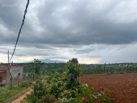 Bán đất xã Đan Phượng