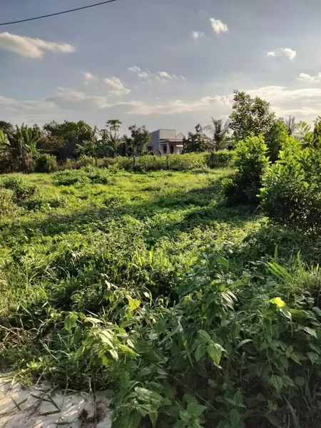 Bán đất 300m² ngang 10m giá 1.99 tỷ Xã Châu Pha