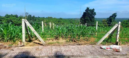 Bán đất 2 mặt tiền đường xã tân lạc, bảo lâm, sổ hồng riêng 100% thổ cư. dt 105m2