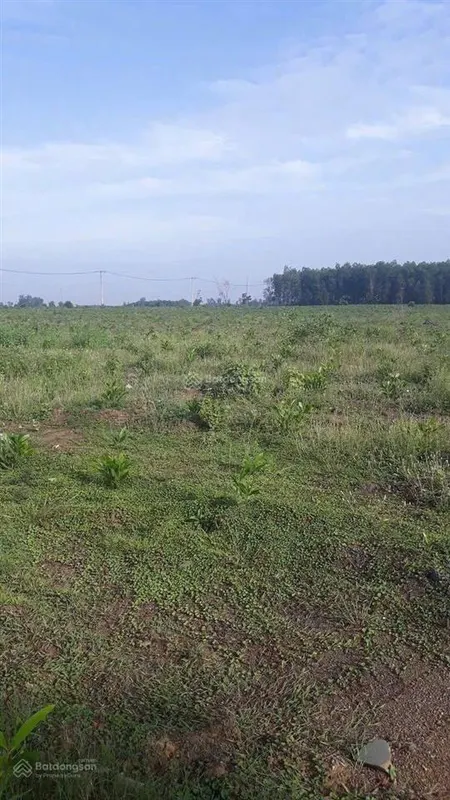 Bán 31,000m2 (3 mẫu 1) quy hoạch đất skc (3 mặt tiền)khu vực xã hố nai 3 sát bên kcn sông mây