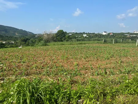Đất view nghỉ dưỡng 400tr