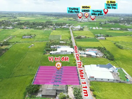 Bán  nền thổ 5x50 MT nhựa Cao Thị Mai Phù hợp kinh doanh mua bán Tại Xã Tân Trụ TỈNH Tây Ninh
