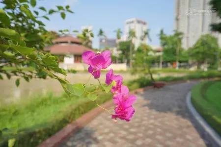 Bán đất tại yên bài, ba vì, hà nội, 31 triệu/m2, 80.5m2, giá ưu đãi