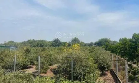 Bán đất 1.900m2 1/ đường kênh 7, xã bình lợi, huyện bình chánh. giá 6 tỷ 200 triệu