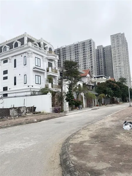 Biệt thự khu đấu giá 31ha trâu quỳ hướng đn. dt 247m2. giá 42 tỷ. 0867 219 ***