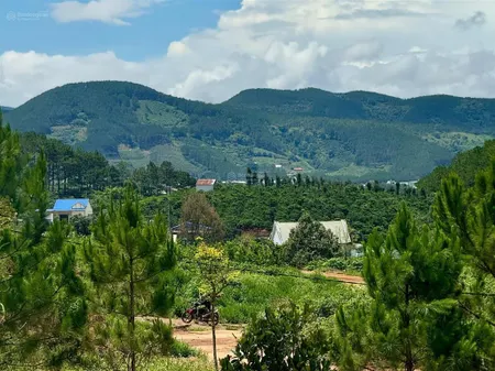 Lô đất 133m2 ven đà lạt giá chỉ 390tr, cơ hội đầu tư sinh lời cao!
