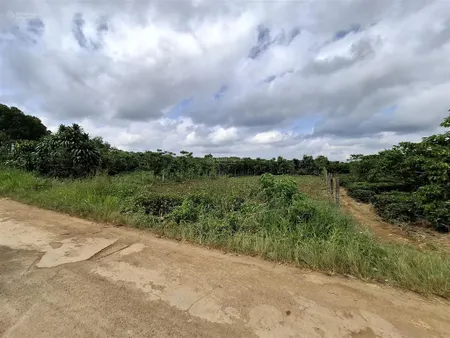 Lô đất ngang dài vừa đủ để thiết kế sân vườn nghỉ dưỡng! nằm gần hồ cánh bướm bao đẹp