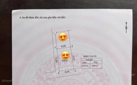 Bán siêu phẩm 100m2 lô góc 2 mặt tiền xóm 1 tự nhiên, thường tín giá chỉ hơn 30tr/m2