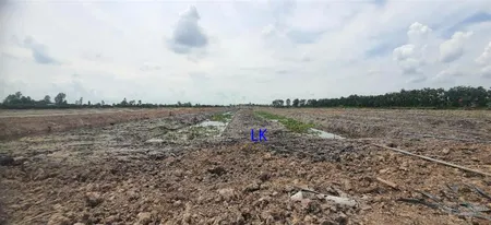 Bán đất lúa đã lên líp chưa canh tác 13.000m² (mặt tiền 20m, nở hậu l) đường đá xe ba gác