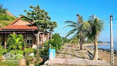 Bán đất mặt biển chính chủ huyện quỳnh lưu, nghệ an. diện tích 6000m2 mt 100m mặt biển quỳnh nghĩa