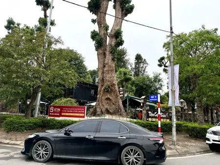 Hiếmđất phân lô 31ha trâu quỳ mt khủng, vỉa hè, xây biệt phủ, tiện ích, trung tâm, hồ và vườn hoa
