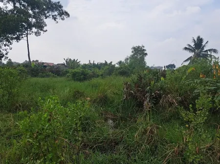 🏠🏠 ĐẠI TỶ PHÚ LÀ ĐÂY 10.000m2 - TIỆN XÂY CAO TẦNG - VIEW SÔNG - GIÁ 335 TỶ.
