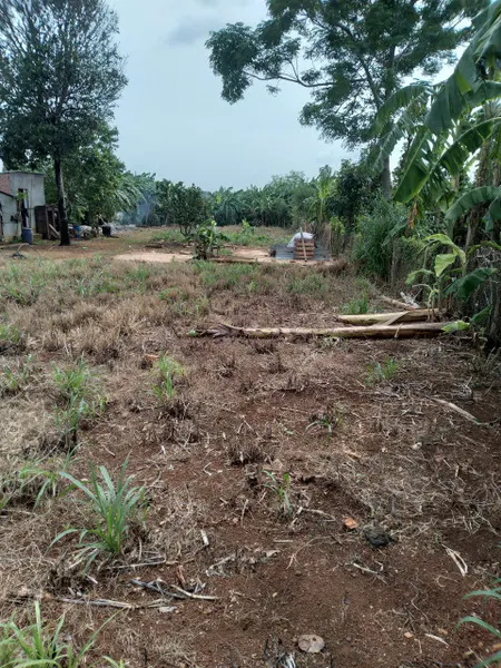 Bán đất 1004,2m² ngang 15m giá 1.6 tỷ Xã Xuyên Mộc