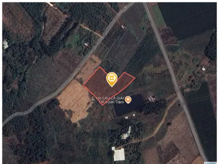 Bán đất 4175.5m² giá 5 tỷ Xã Dầu Giây