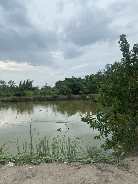 bán đất có ao cá sẵn