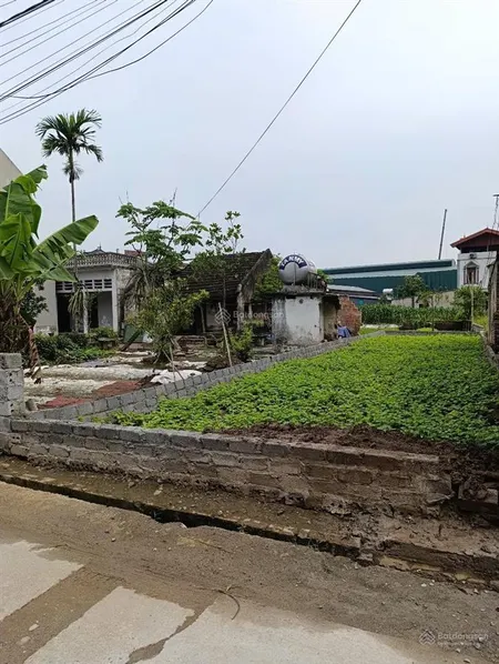 F0 xâm xuyên hàng ấp ủ 30 năm nay giờ mới tung ra thị trường giá đầu tư, trục chính đường thôn