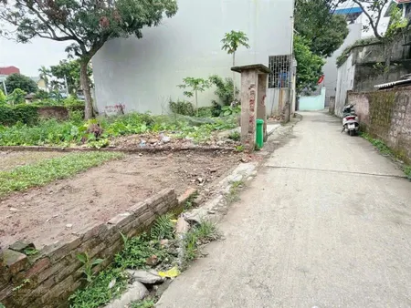 73,1 m2 phượng đồng phụng châu ( mt = hậu = 5,66m ) 3,x tỷ