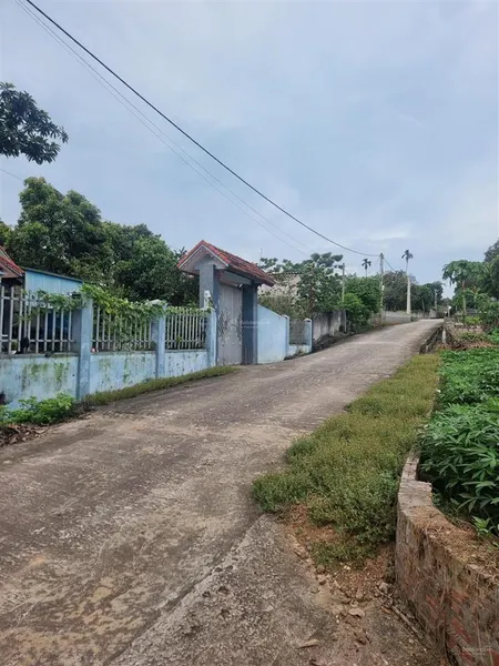 Chính chủ bán lô đất siêu rẻ tại cẩm lĩnh ba vì. 424,6m2 60m2 thổ cư. mặt tiền 28,5m chỉ 4tr/m2