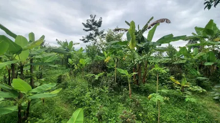 Bán Đất