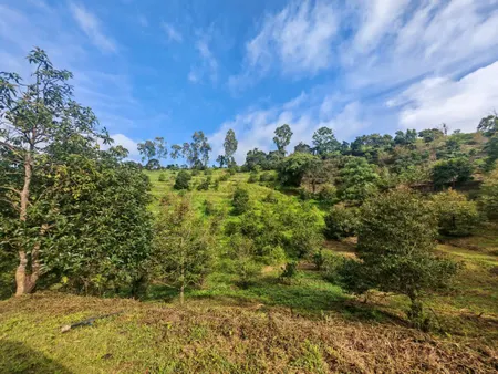 Bán đất 17926m² ngang 200m giá 1.2 tỷ Xã M’Drắk