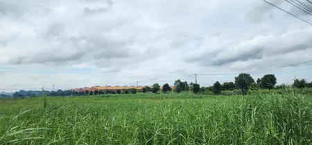 Bán 40.000m2 đất trong kcn hiệp phước (dành cho ngành khai thác kho vận), pháp lý chuẩn, giá tốt