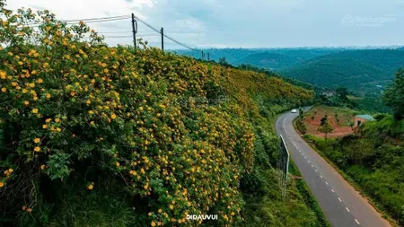 Bán đất lộc ngãi