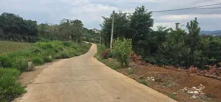 Bán đất Đông Thanh